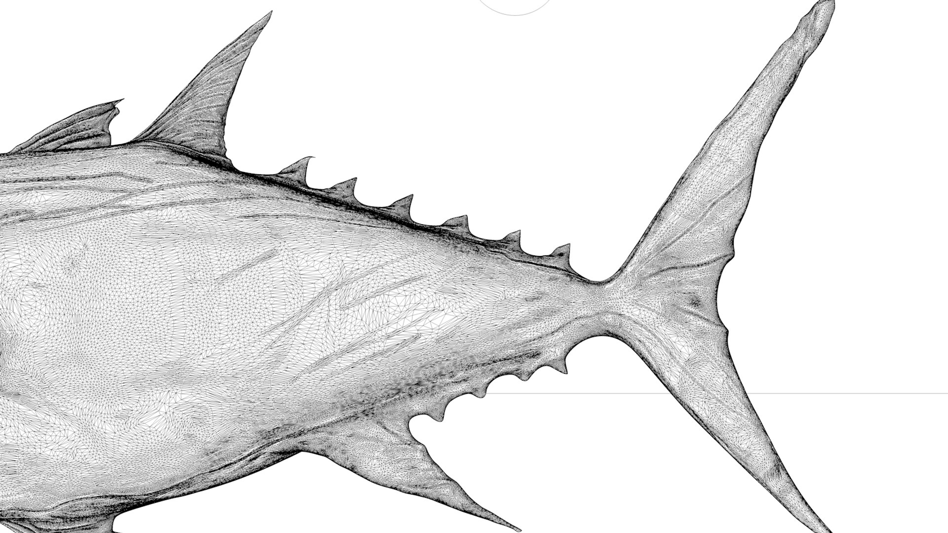 3D tuna fish l138 animate model https://p.turbosquid.com/ts-thumb/zv/EAyOhe/yHlkIHLy/16/png/1559267401/1920x1080/fit_q87/cbd59387c709af0f9c70b1613ca1d047c9b99b39/16.jpg