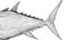 tonno L138