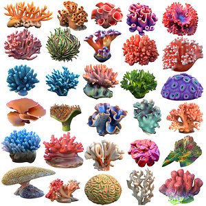 3D Coral reef collection 1-30 model
