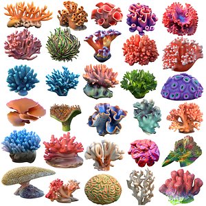 Coral reef collection 1-30