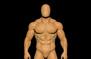 anatomy zbrush model
