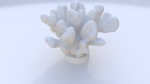 Sclerophytumcoral 3D model