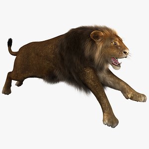 3d model lion pose 3