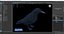 Realistic Animated Carrion Crow
