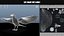 Realistic Animated Carrion Crow