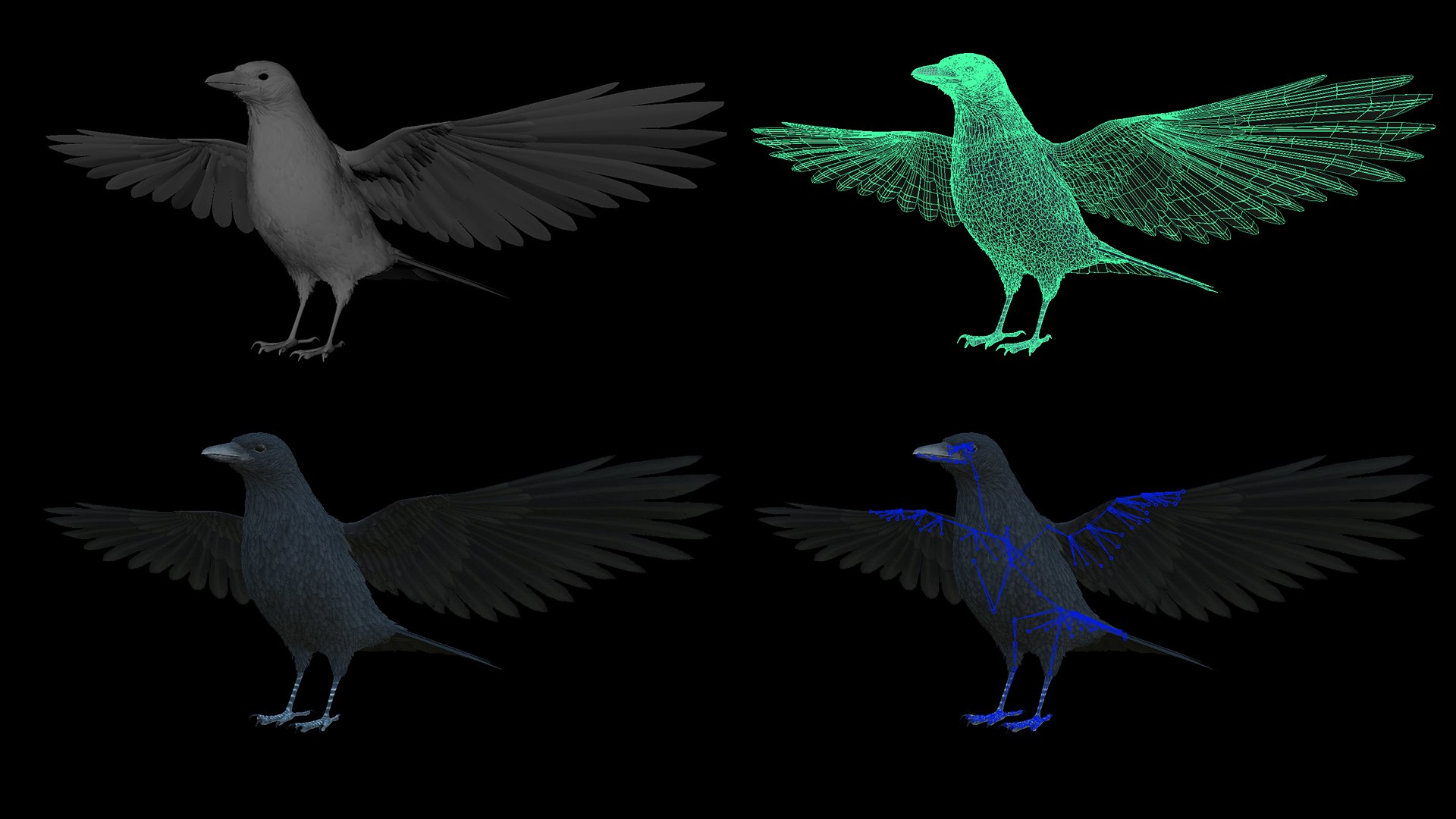 3D Realistic Animated Carrion Crow https://p.turbosquid.com/ts-thumb/zv/johT1u/Kv/untitled2/jpg/1724261873/1920x1080/fit_q87/49b79f4f7c9997681b9b77a791472f0d1c513076/untitled2.jpg