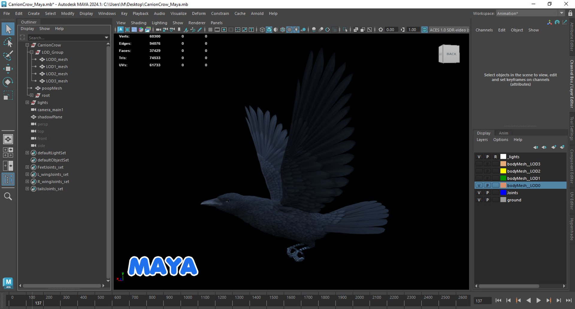 3D Realistic Animated Carrion Crow https://p.turbosquid.com/ts-thumb/zv/johT1u/UQ/maya1/jpg/1721581564/1920x1080/fit_q87/d89b1a63740bdd68328f73d1cfcba18c58efc9cd/maya1.jpg