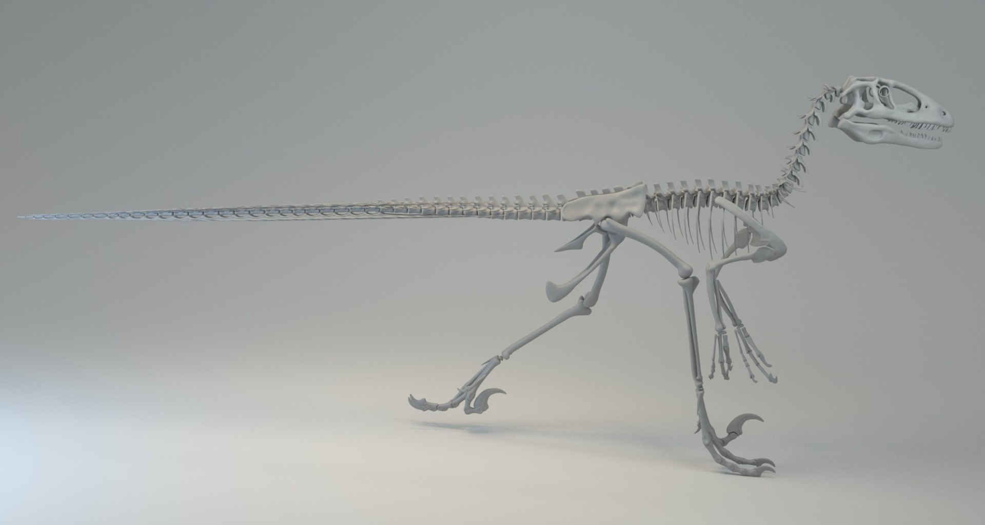 3D deinonychus skeleton fossil model https://p.turbosquid.com/ts-thumb/zv/x08Dbx/10zpURSr/render_18/jpg/1524592585/1920x1080/fit_q87/20fa1fb7941e143edba88519f561e245efc42a79/render_18.jpg
