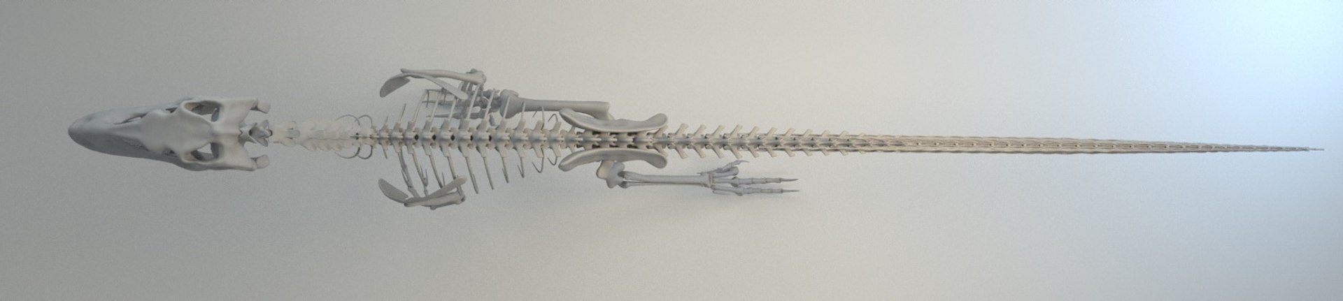 3D deinonychus skeleton fossil model https://p.turbosquid.com/ts-thumb/zv/x08Dbx/1x8L2Lc0/render_16/jpg/1524592585/1920x1080/fit_q87/a2edb512e9bd4cf9740b1c8dd2488ce48f5ff7aa/render_16.jpg