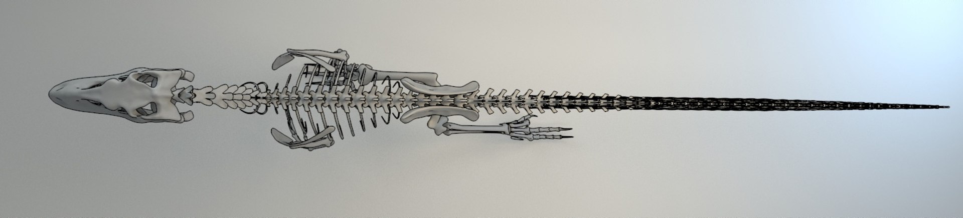 3D deinonychus skeleton fossil model https://p.turbosquid.com/ts-thumb/zv/x08Dbx/AjlhdNyx/render_15/jpg/1524592585/1920x1080/fit_q87/6f99255c7dbef1832d4850a5f92a764c32054c11/render_15.jpg