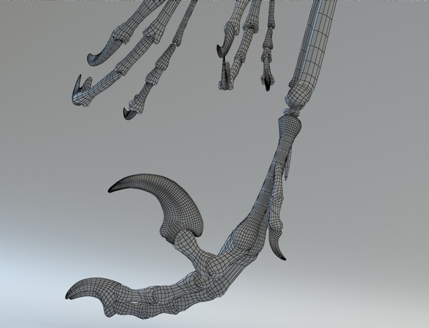 3D deinonychus skeleton fossil model https://p.turbosquid.com/ts-thumb/zv/x08Dbx/CPzXFYtu/render_05/jpg/1524592584/1920x1080/fit_q87/7c3dac812033901794c5de7433a55c3157ec42ac/render_05.jpg