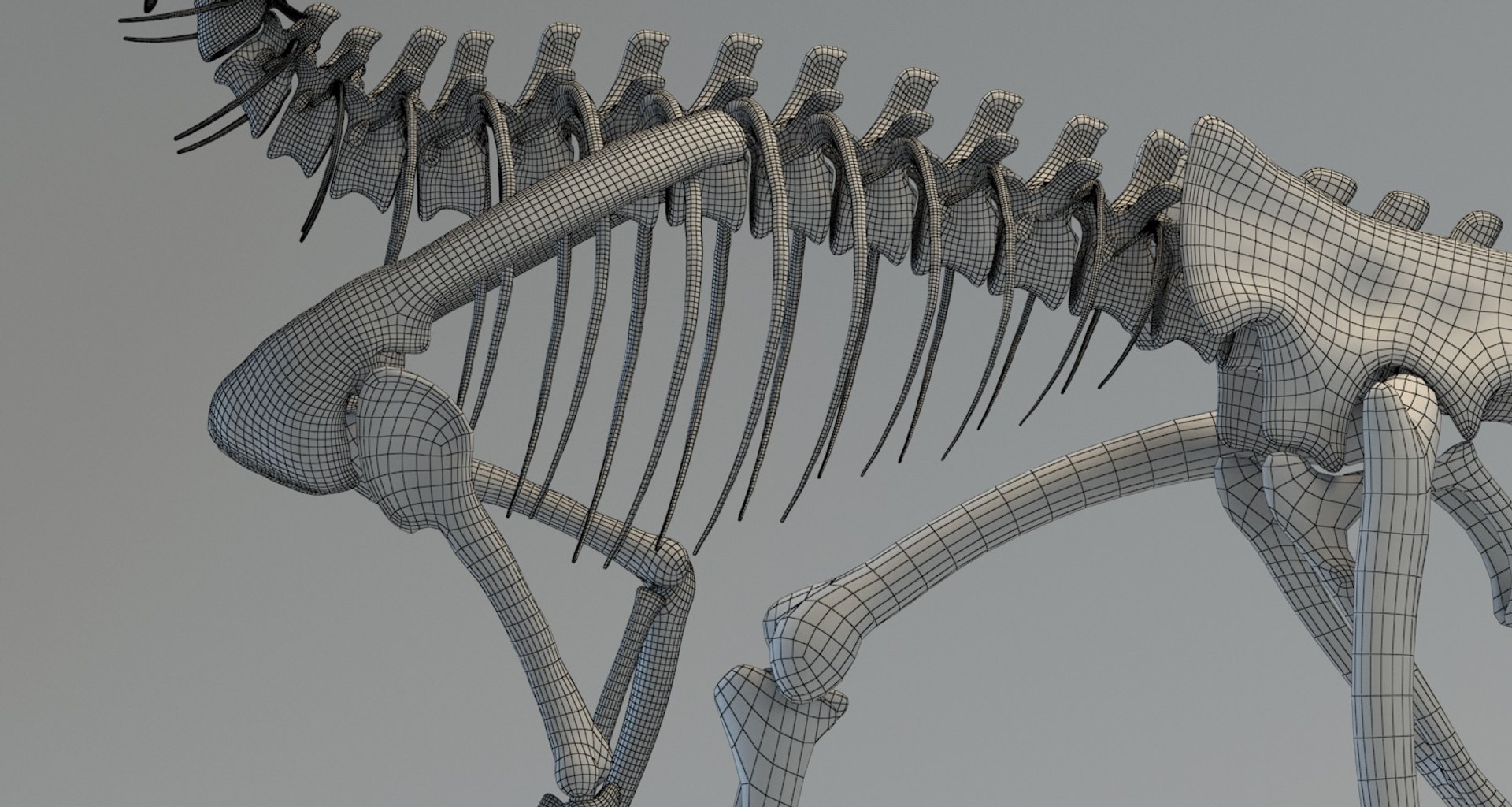 3D deinonychus skeleton fossil model https://p.turbosquid.com/ts-thumb/zv/x08Dbx/zLSPscSN/render_07/jpg/1524592585/1920x1080/fit_q87/eb0822c0f1f4b4baa5295e1c7870cfab1fa2b0e0/render_07.jpg