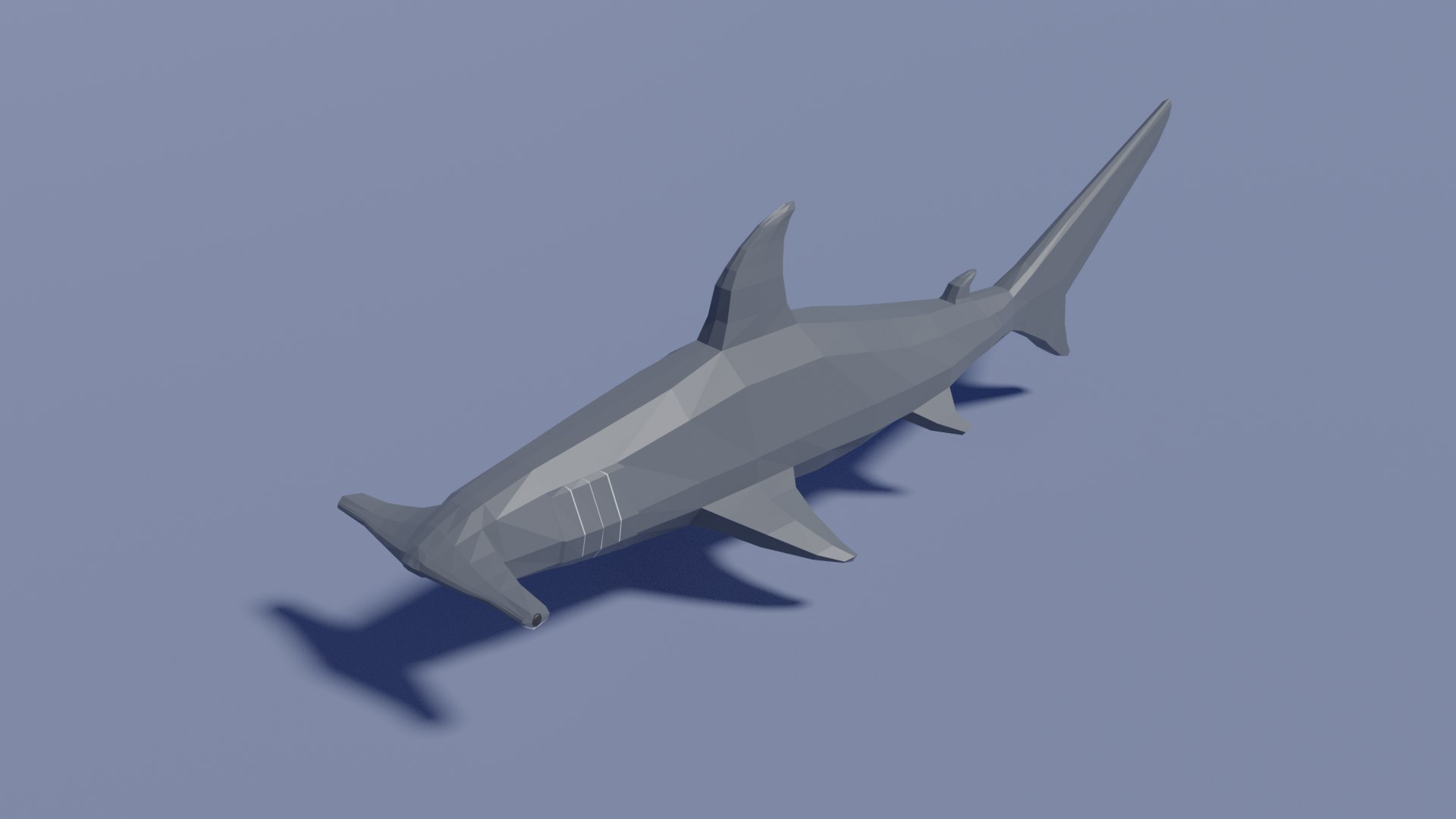 Hammerhead SHark - Blender 3D Models : Blender 3D Models