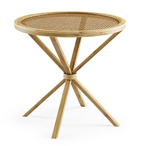 3D wooden coffee rattan model