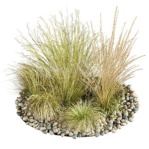 3D plant vol 729 - grass - carex - pampas