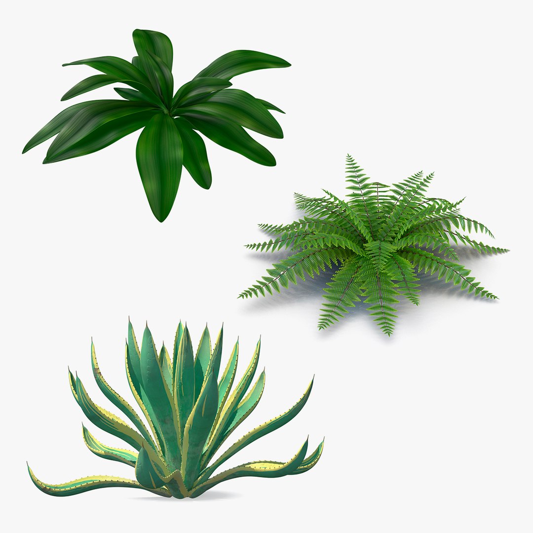 Plants Collection 3D model preview