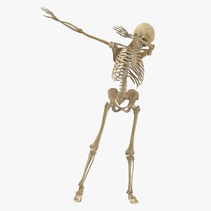 3D model Real Human Female Skeleton Pose 88