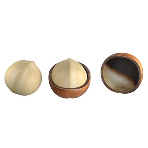 Macadamia Nut kernel and half