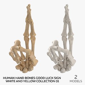 Human Hand Bones Good Luck Sign White and Yellow Collection 01 - 2 models 3D model