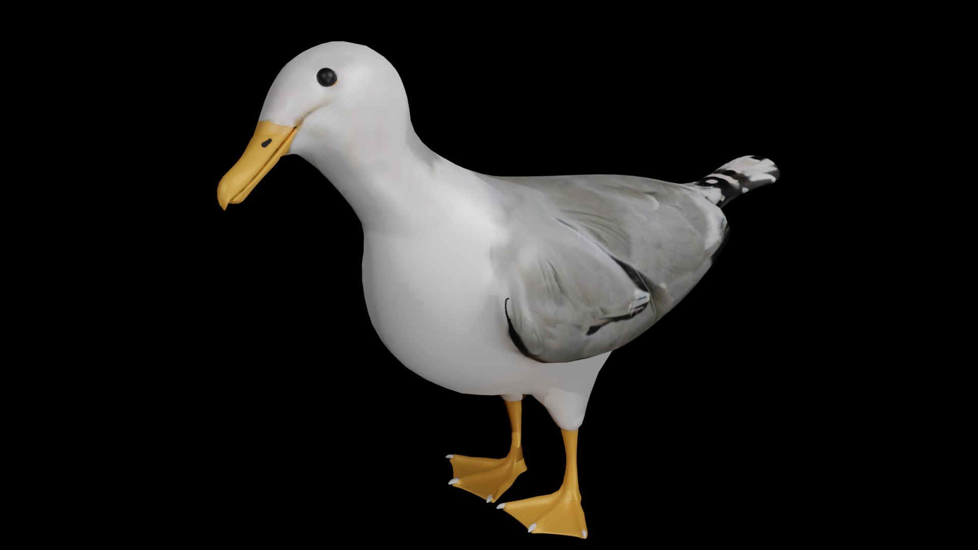 3D Seagull Bird Rigged Model - TurboSquid 1652684