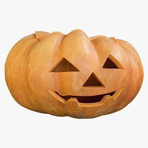 Pumpkin Clean Kind Emotion