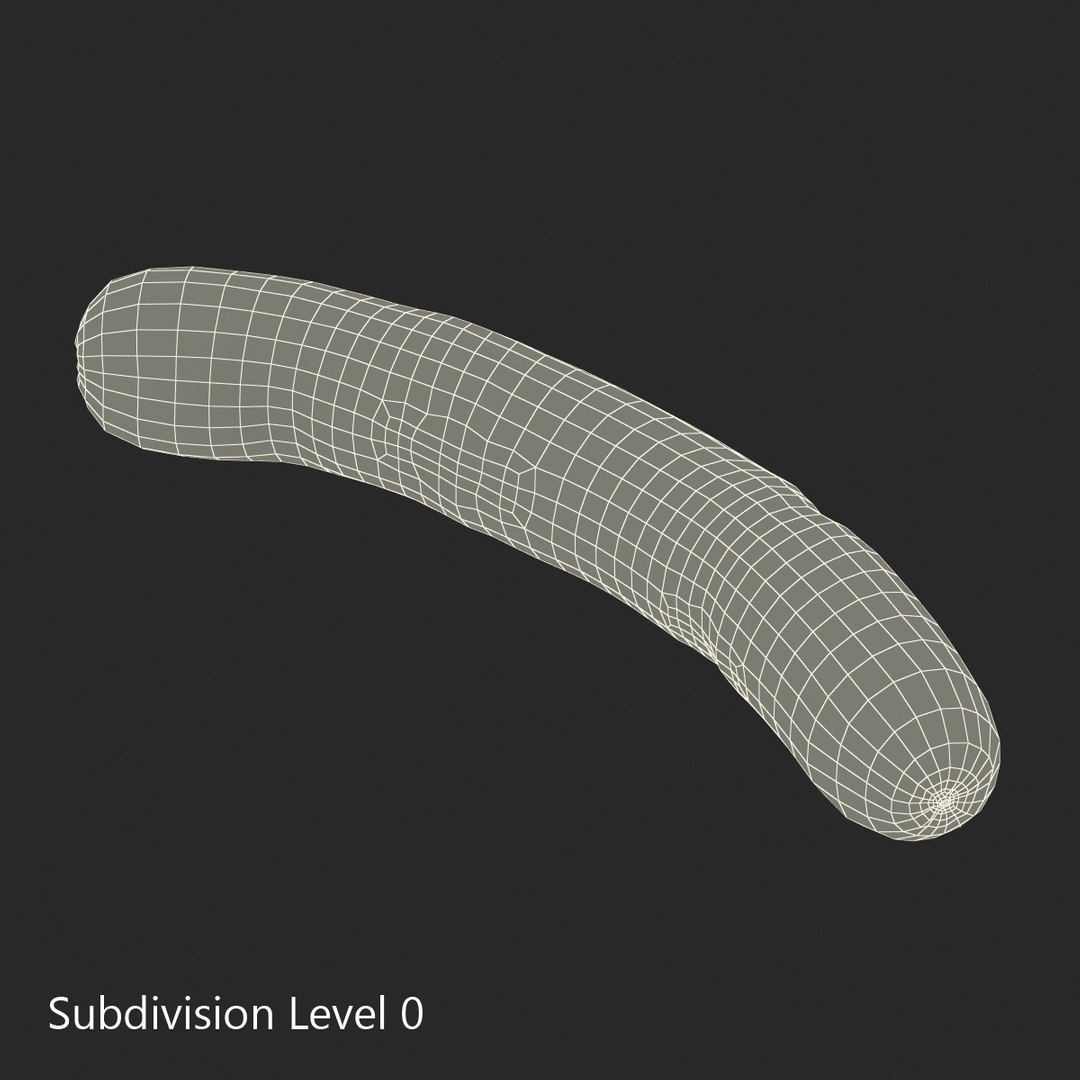 c4d grilled wiener https://p.turbosquid.com/ts-thumb/zw/Zq1zfY/1pTi3yo8/grilledwiener3dmodel08/jpg/1463475702/1920x1080/fit_q87/a5bb6a0e62c58f4f2528afa9aa561a703531fe6a/grilledwiener3dmodel08.jpg