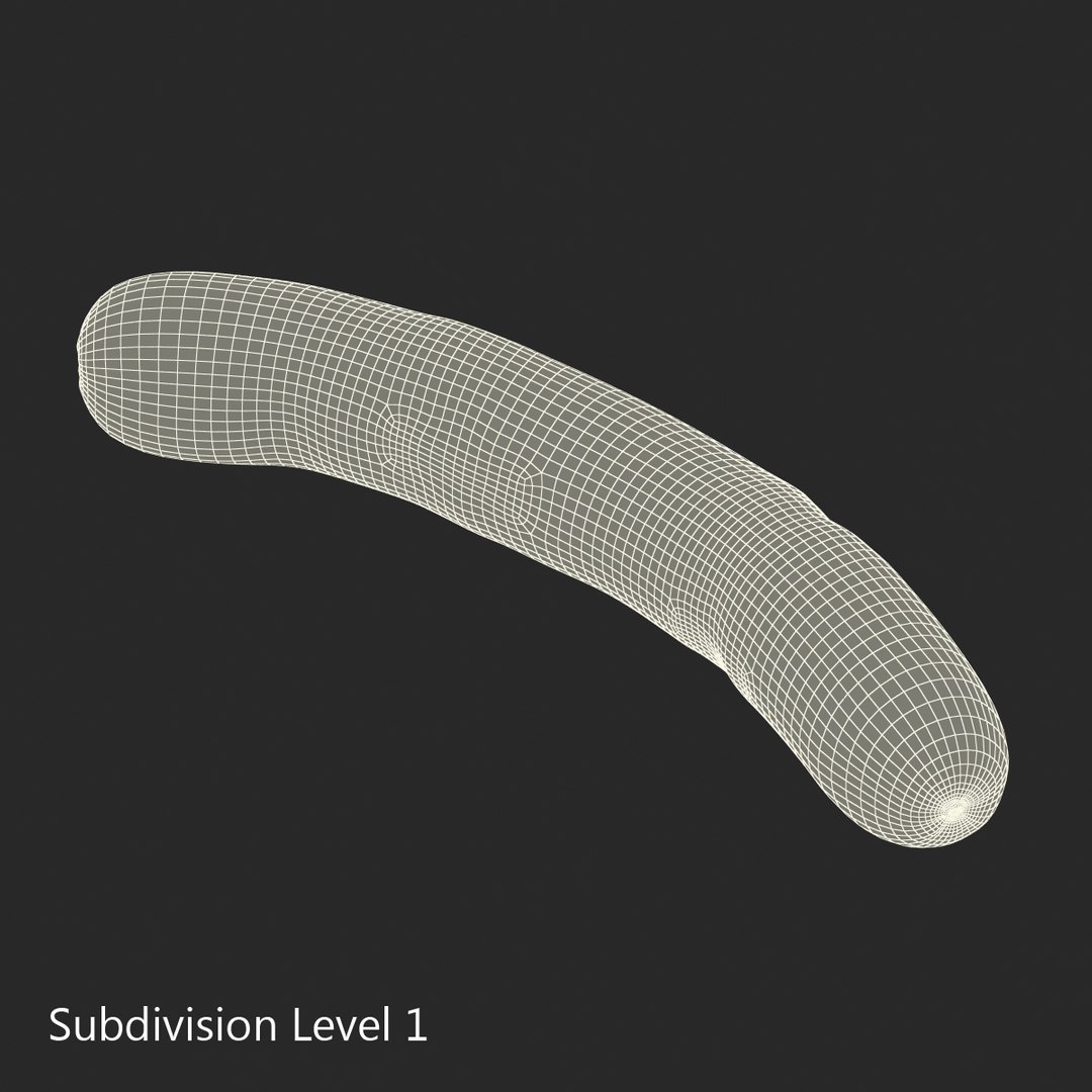 c4d grilled wiener https://p.turbosquid.com/ts-thumb/zw/Zq1zfY/4NwnvKIe/grilledwiener3dmodel09/jpg/1463475702/1920x1080/fit_q87/552774a62ca642dc3de9a464e4d0de58c4812db5/grilledwiener3dmodel09.jpg