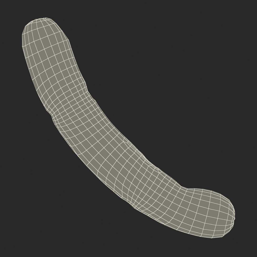 c4d grilled wiener https://p.turbosquid.com/ts-thumb/zw/Zq1zfY/71R1uLa7/grilledwiener3dmodel13/jpg/1463475702/1920x1080/fit_q87/6f40a623af3e971ca23e9f23d9899c3a3bdf9c54/grilledwiener3dmodel13.jpg