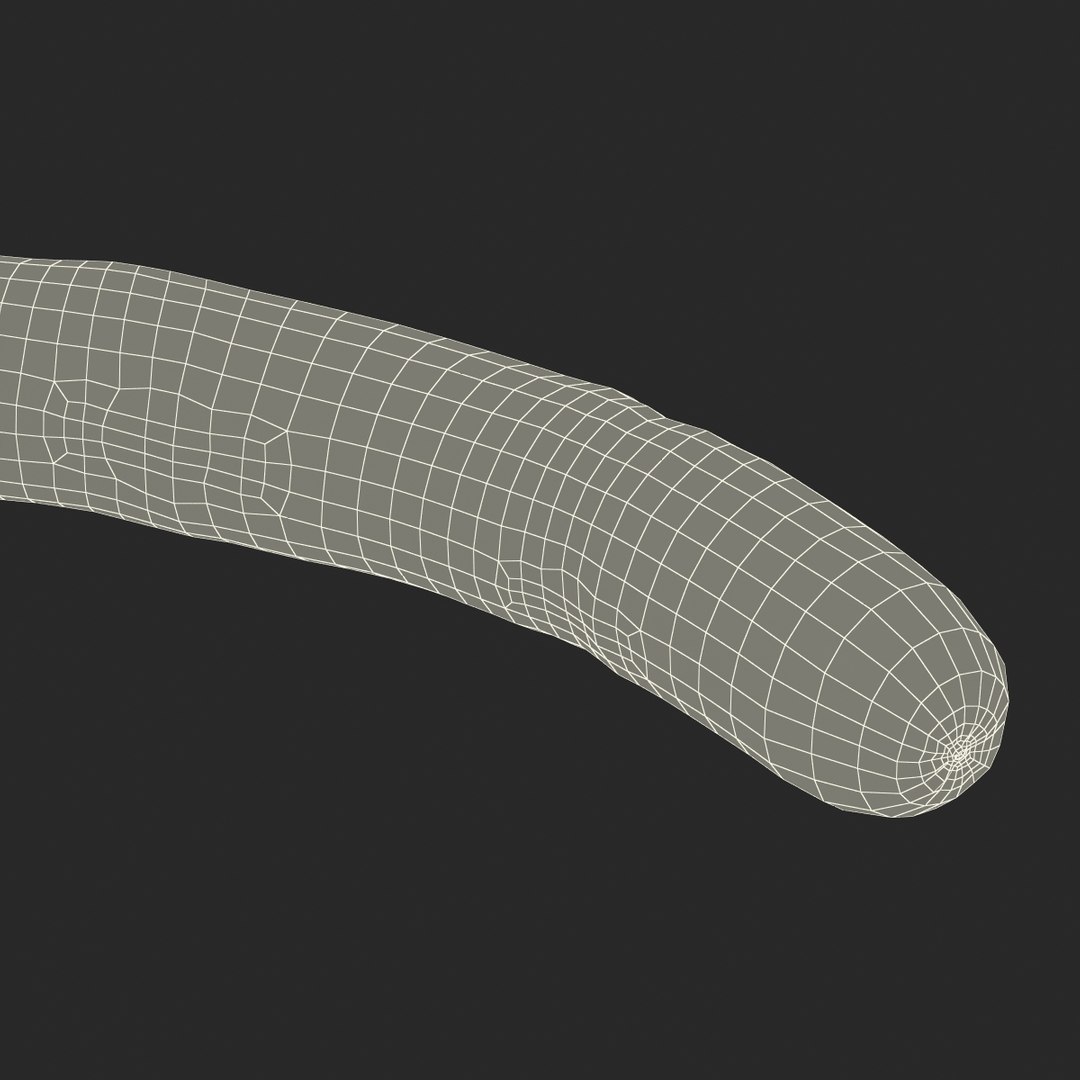 c4d grilled wiener https://p.turbosquid.com/ts-thumb/zw/Zq1zfY/mHr5Gn9O/grilledwiener3dmodel16/jpg/1463475703/1920x1080/fit_q87/f374f4994b3216da3c1ff048d6e581652ab9a8e8/grilledwiener3dmodel16.jpg
