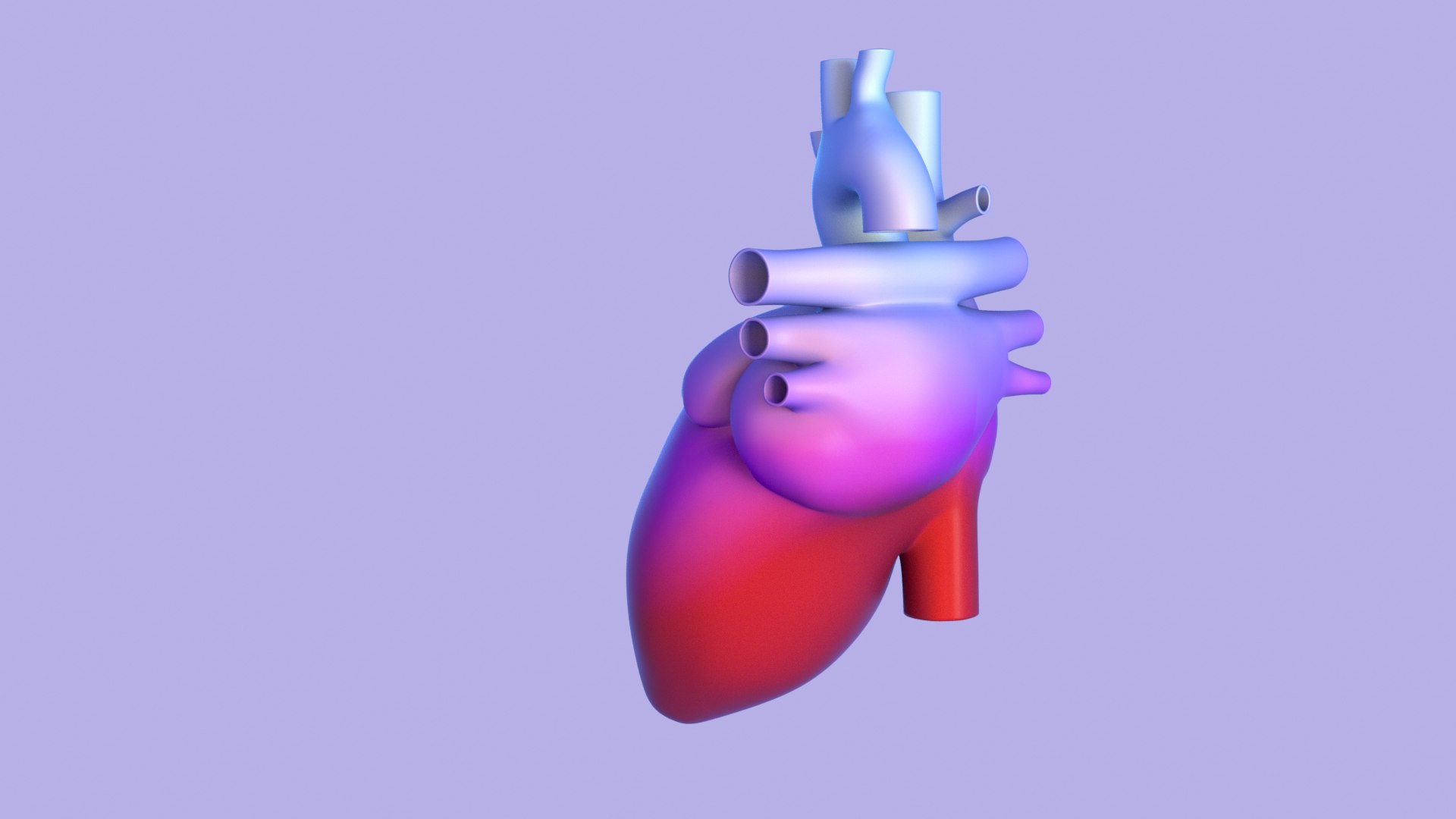 Heart 3d Model - Turbosquid 1920032