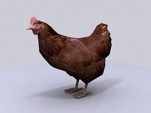 Hen