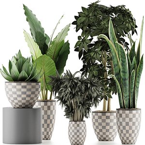 3D exotic plants trees