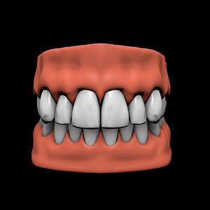 Jaw teeth