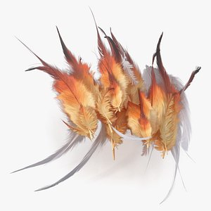 Natural Color Feathers 3D model
