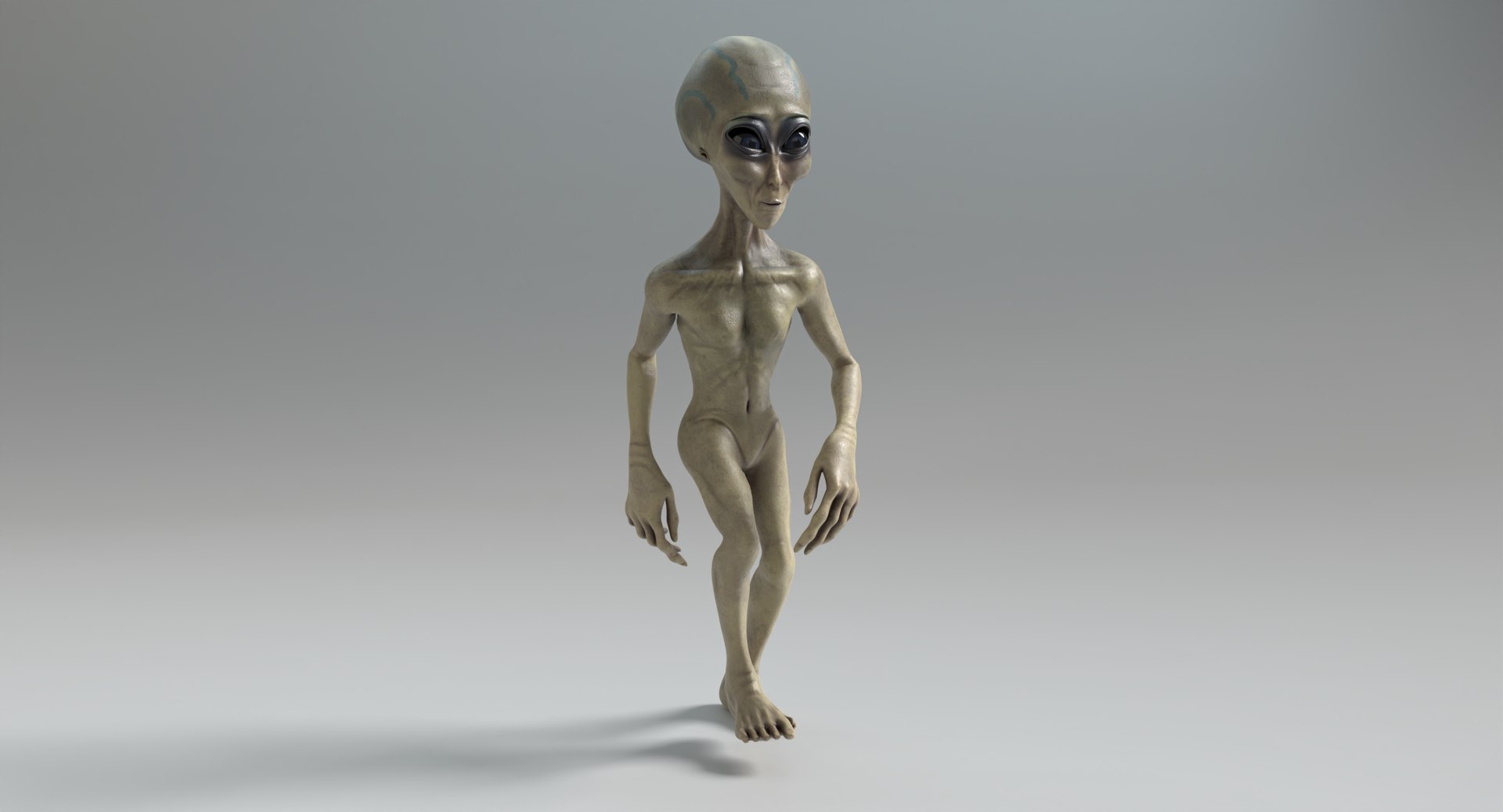 3D Female Grey Alien Animated 2 https://p.turbosquid.com/ts-thumb/zx/W4vRaC/gU/femailealien_v2_walking_images0019/png/1692981362/1920x1080/fit_q87/81ef2de01fecfdf2d1527515727f1d22ae25ab81/femailealien_v2_walking_images0019.jpg
