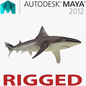 School Shark Rigged for Maya 3D Model
