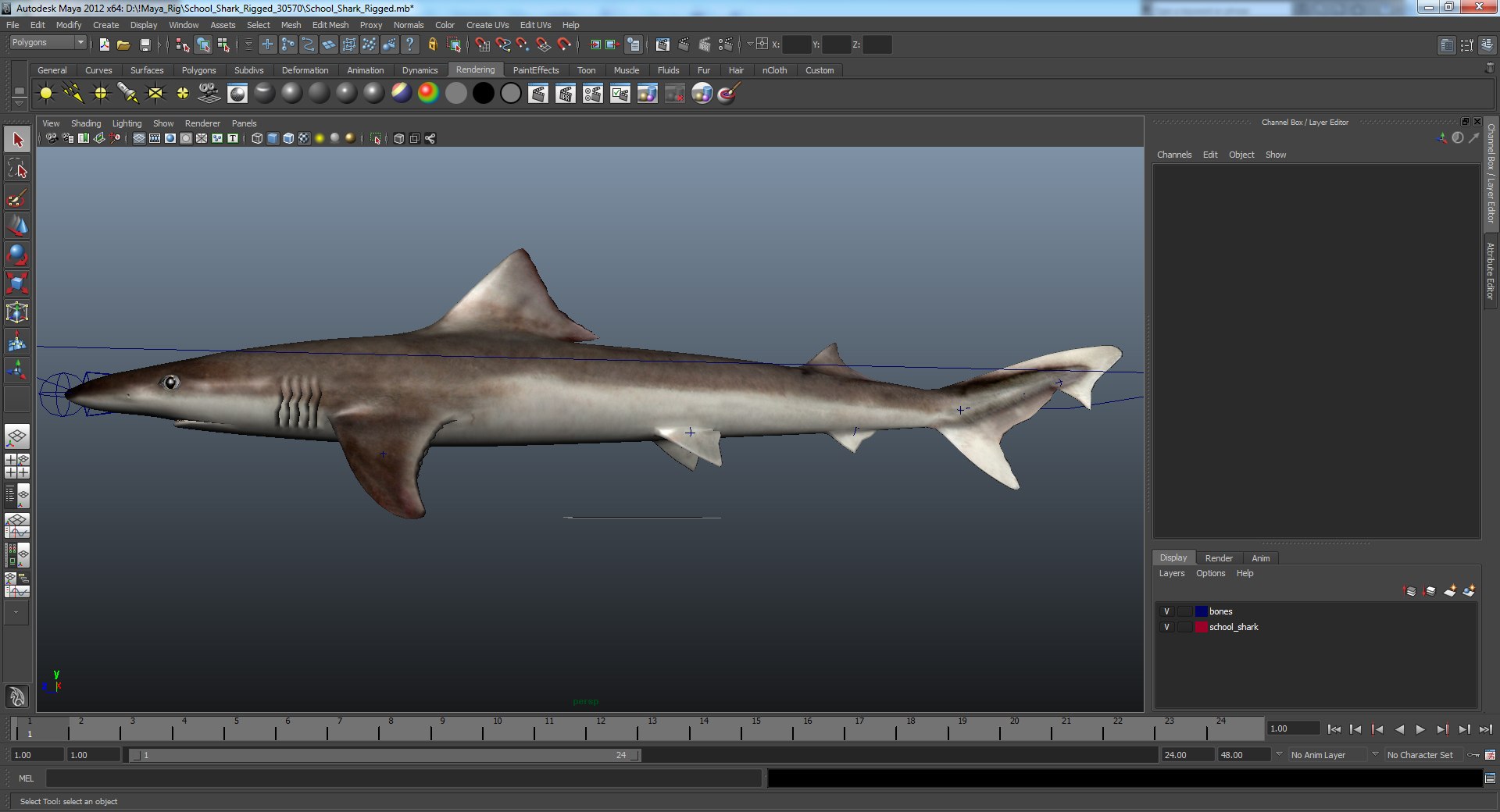 3d Model Of School Shark Rigged