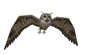 owl bird 3d model
