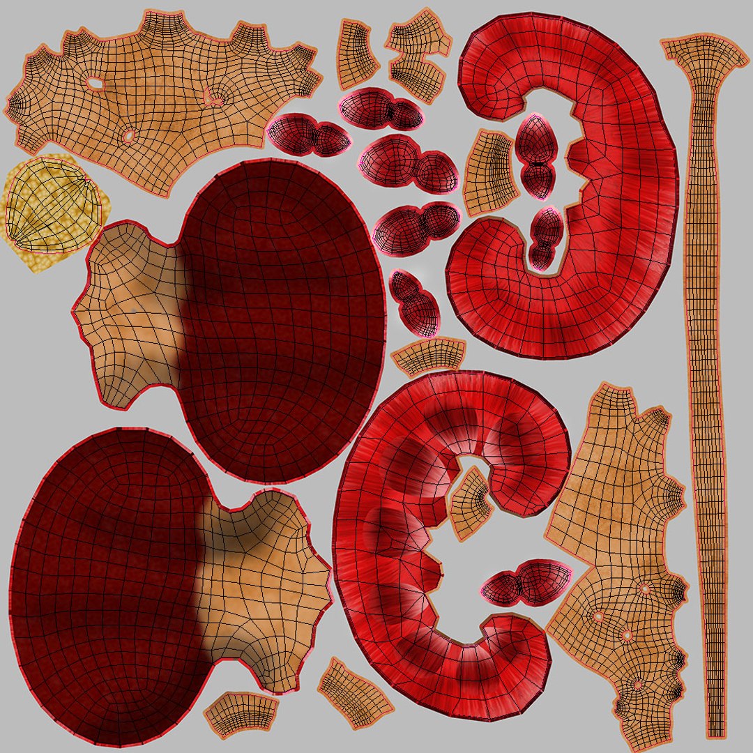 Complete human anatomy-Male 3D model https://p.turbosquid.com/ts-thumb/zx/lGtkg9/8H/uv2/jpg/1658260574/1920x1080/fit_q87/b12cab9b39736c832f34928095b0525d12cd69ff/uv2.jpg