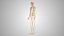 Complete Male Anatomy