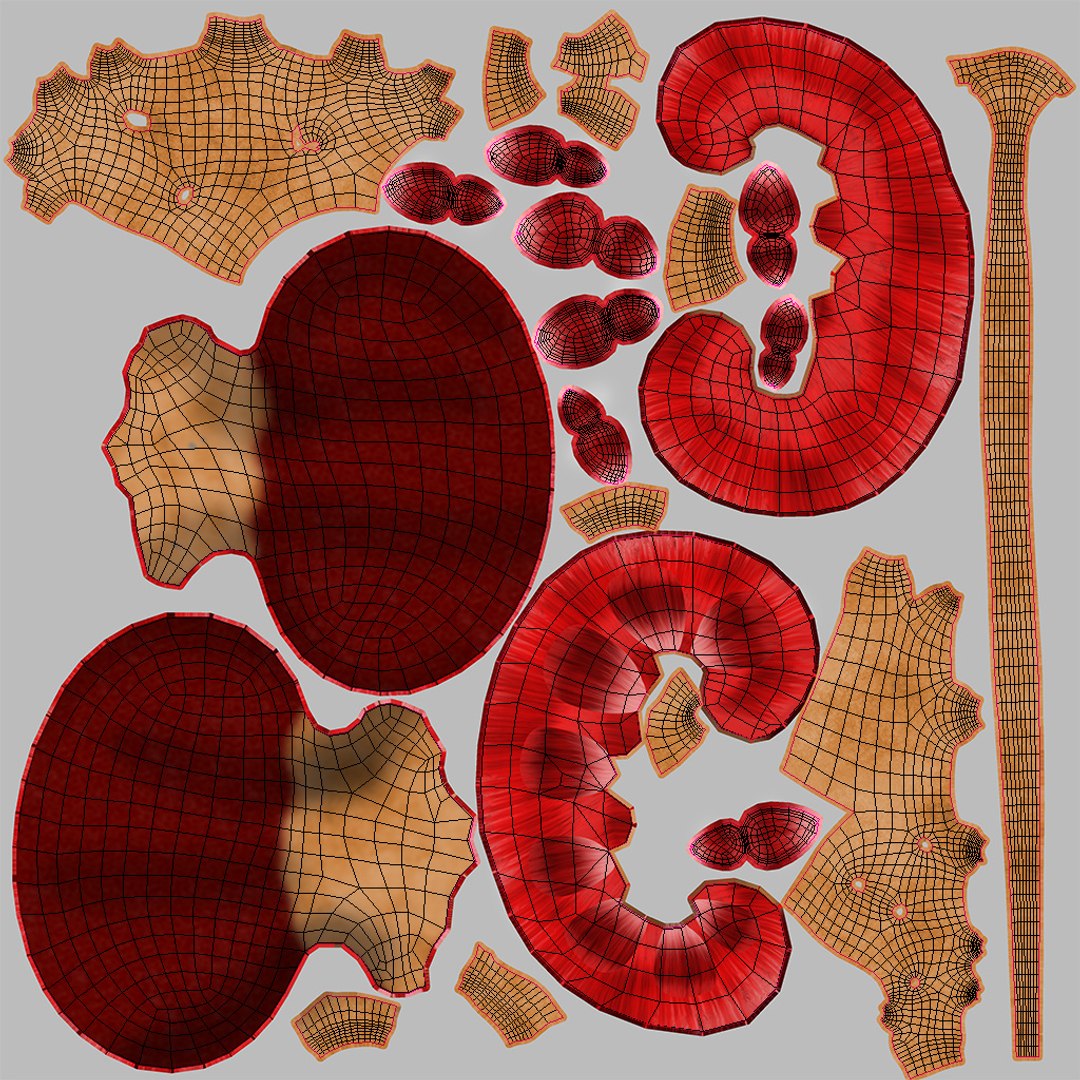 Complete human anatomy-Male 3D model https://p.turbosquid.com/ts-thumb/zx/lGtkg9/VV/kidneywithanatomiccutuv/jpg/1658260567/1920x1080/fit_q87/123adc990a4d63137d4d4b6d500ae6016ed2d5ad/kidneywithanatomiccutuv.jpg
