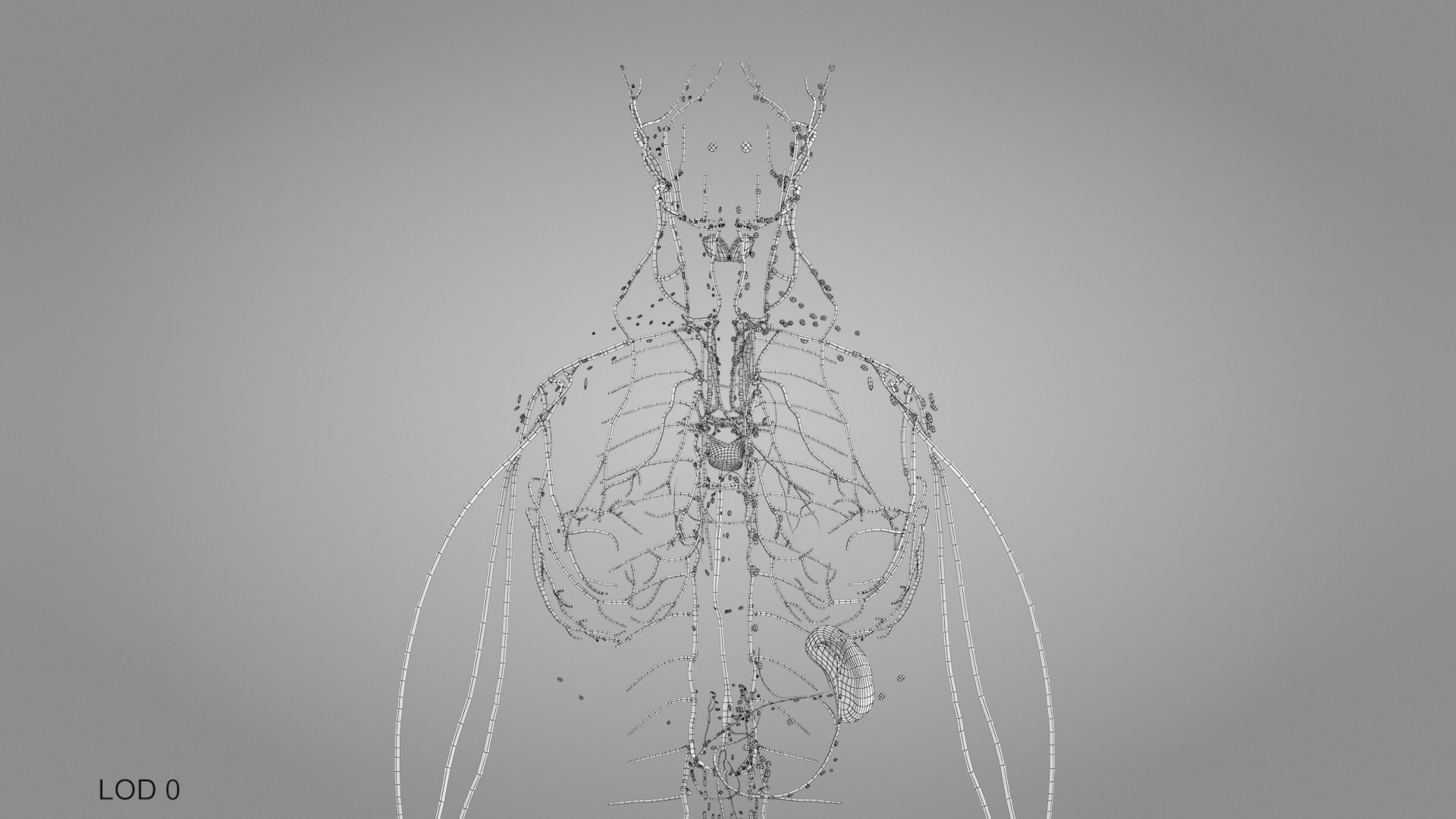 Complete human anatomy-Male 3D model https://p.turbosquid.com/ts-thumb/zx/lGtkg9/Xg/humanlymphaticsystem_00023/jpg/1658257500/1920x1080/fit_q87/f2861ac468d88e9845e726168275a84f2a9dcda1/humanlymphaticsystem_00023.jpg