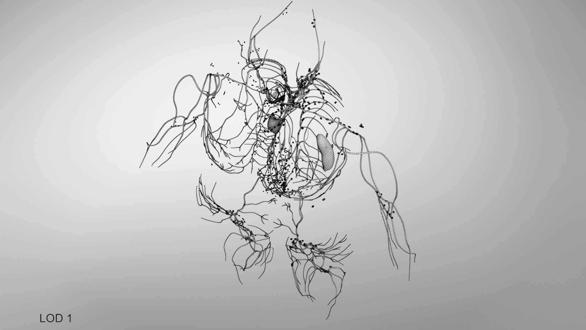 Complete human anatomy-Male 3D model https://p.turbosquid.com/ts-thumb/zx/lGtkg9/av/humanlymphaticsystem_00016/jpg/1658257502/1920x1080/fit_q87/4a9adabc8eecc6dabbddc378130e95d925f559f9/humanlymphaticsystem_00016.jpg
