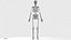 Complete Male Anatomy