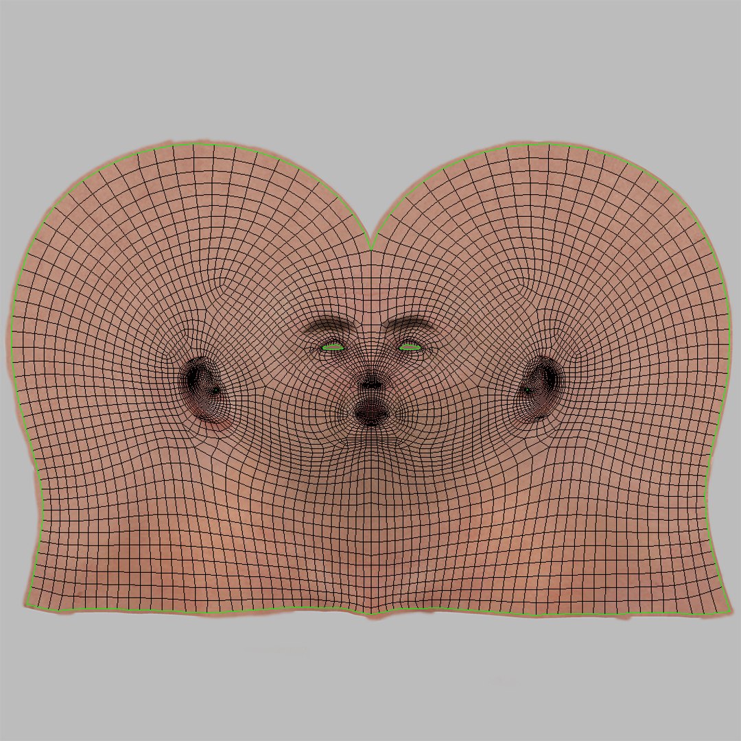 Complete human anatomy-Male 3D model https://p.turbosquid.com/ts-thumb/zx/lGtkg9/u4/uv_headskin/jpg/1658260113/1920x1080/fit_q87/7961b3728faaf49196c339a0b6953c24a9ca37d0/uv_headskin.jpg