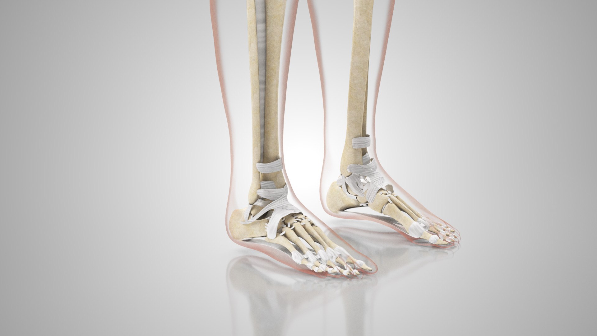 Complete human anatomy-Male 3D model https://p.turbosquid.com/ts-thumb/zx/lGtkg9/wM/humanskeletonsystemwithligaments_00004/jpg/1658259554/1920x1080/fit_q87/4714d68736b343d641da9a8ae9b6e0c5732db55e/humanskeletonsystemwithligaments_00004.jpg