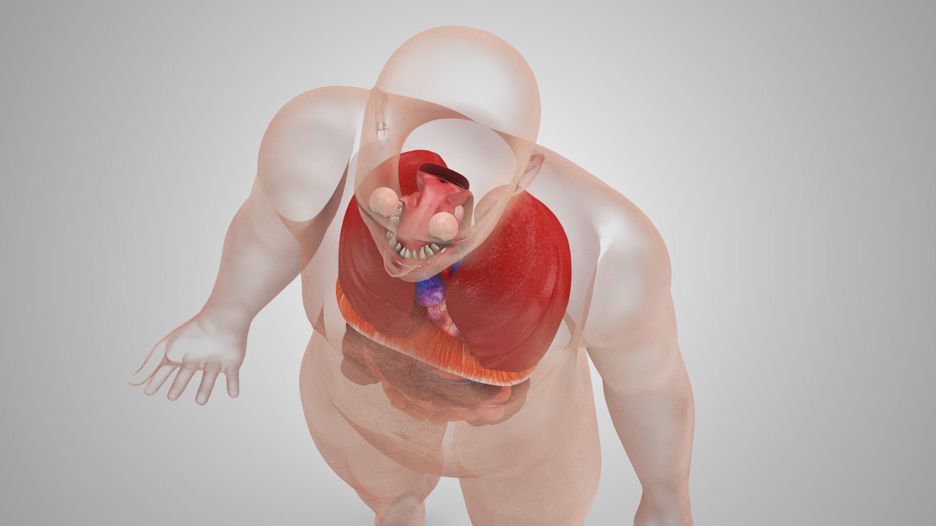 Complete human anatomy-Male 3D model https://p.turbosquid.com/ts-thumb/zx/lGtkg9/wU/humaninternalorgans_00028/jpg/1658258300/1920x1080/fit_q87/8a09d0fd8a3798a06c0a1f965b93e2f6a41de90a/humaninternalorgans_00028.jpg