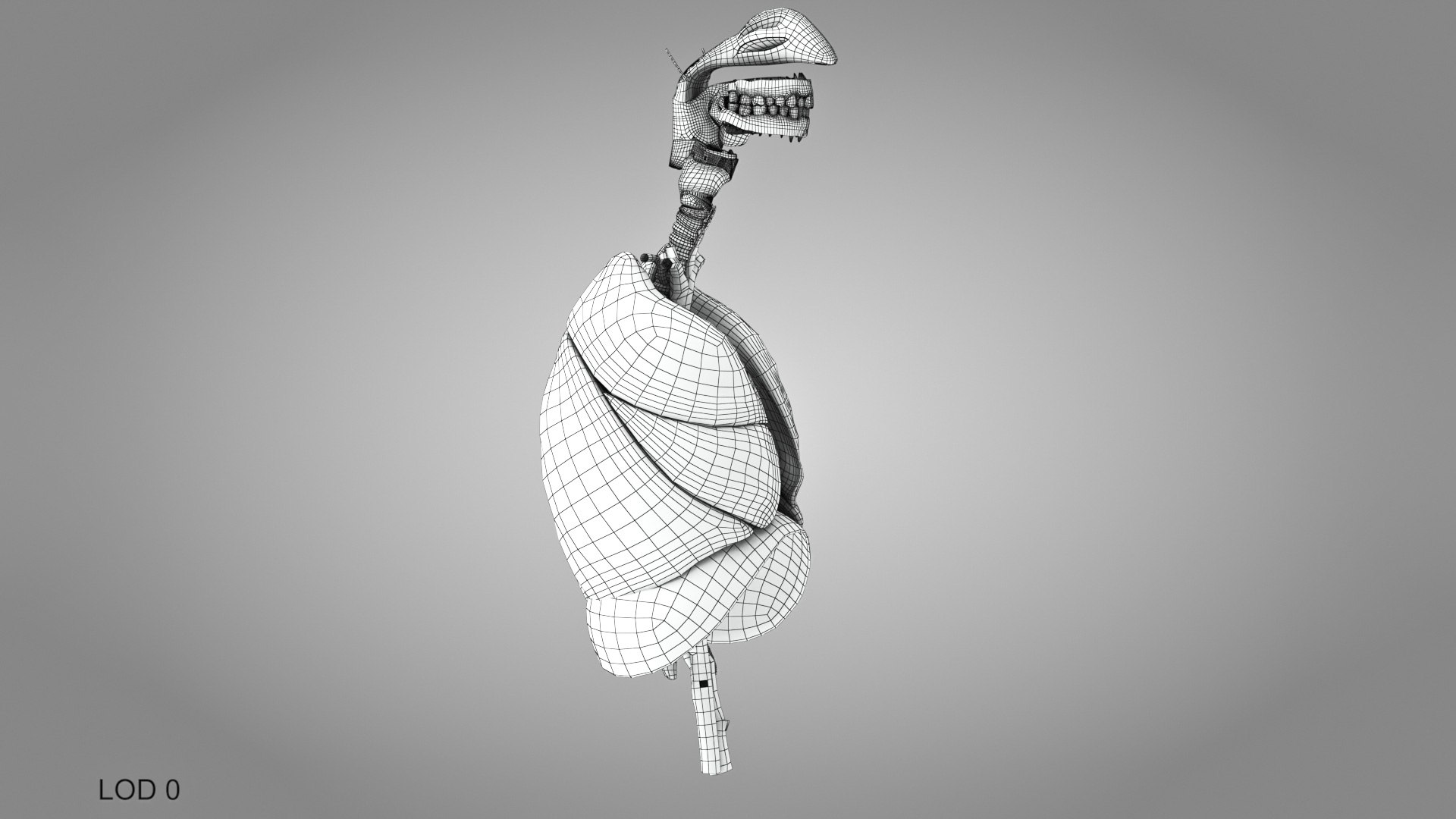 Complete human anatomy-Male 3D model https://p.turbosquid.com/ts-thumb/zx/lGtkg9/zB/fullrespiratorsystemandheart_00027/jpg/1658248151/1920x1080/fit_q87/c4405e807d6bf72148e3a32dbcff5e4034e9e90d/fullrespiratorsystemandheart_00027.jpg