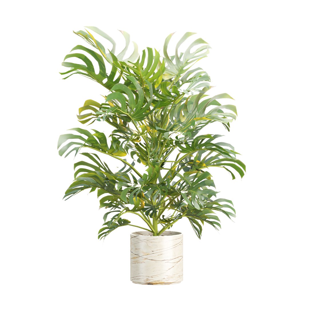 3D Premium Indoor &amp; Outdoor Plant Collection Bundle 100 https://p.turbosquid.com/ts-thumb/zx/lbtOMZ/4O/2/jpg/1770896590/1920x1080/fit_q87/ff3106e68cf2634bbf24eecce96e92743ce3bed7/2.jpg