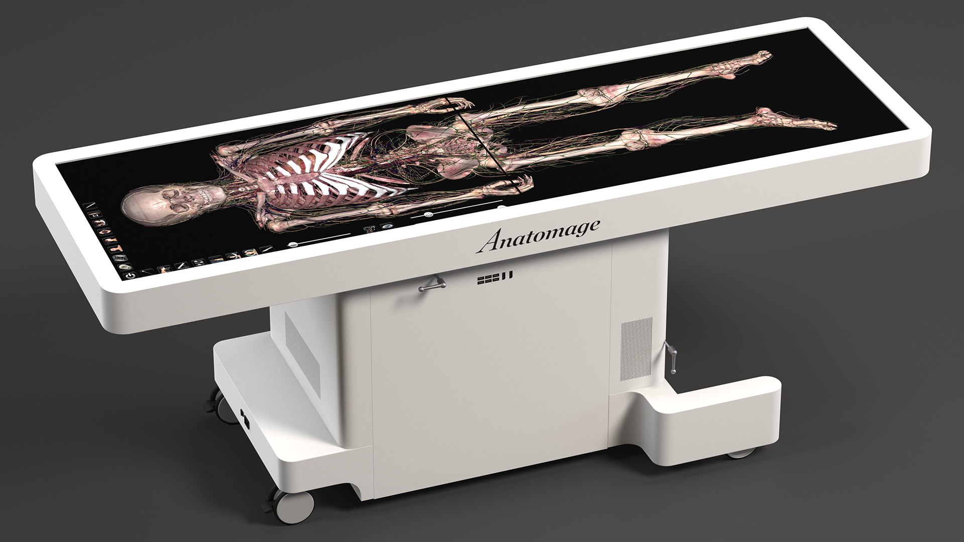 Horizontal Anatomical Training Table 3D Model - TurboSquid 1961636
